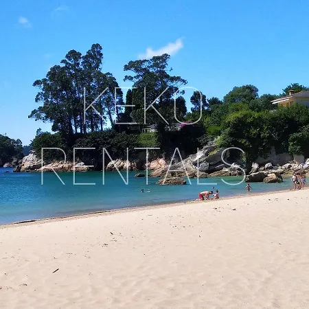 Historico 2 * Viveiro