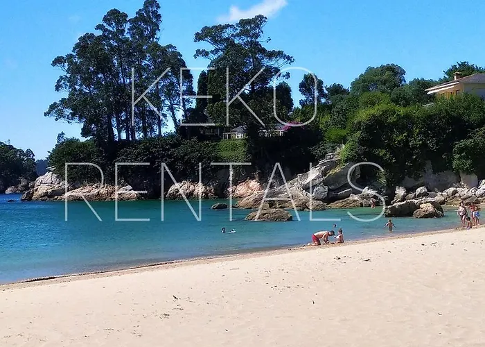 Historico 2 * Viveiro